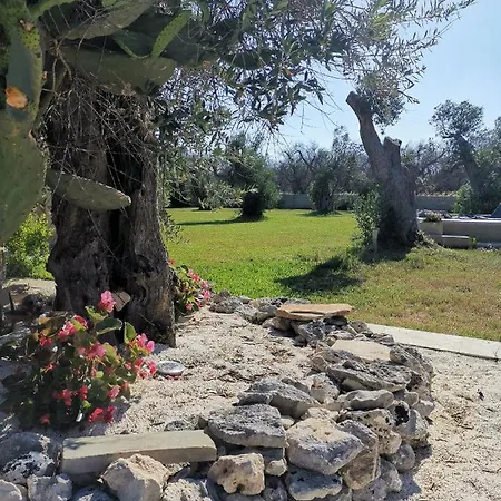 Dimora Santi Medici Apartment